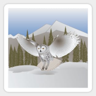 Snowy Owl Sticker